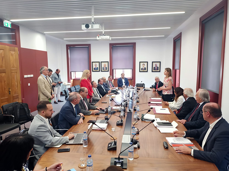 Fernando Queiroga reuniu com Secretária de Estado da Inclusão no âmbito da ANMP
