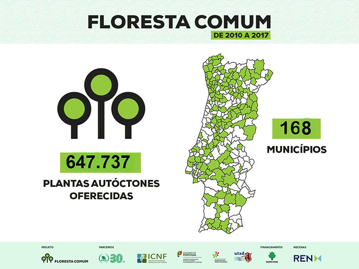 Programa Floresta Comum 2017