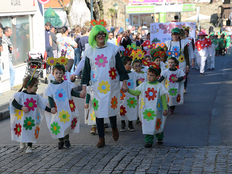 Alunos das Escolas de Boticas saíram à rua para festejar o Carnaval