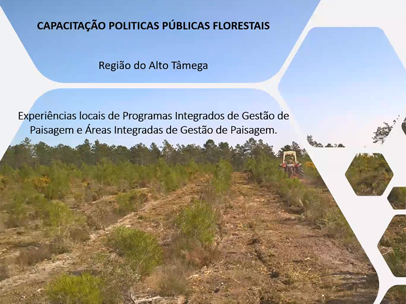 3º WEBINAR | Ações de Capacitação Políticas Públicas Florestais