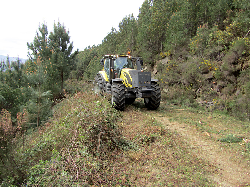 Brigada de Sapadores Florestais da CIMAT realizou trabalhos de limpeza no Concelho
