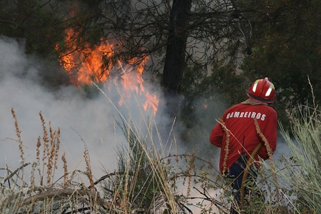 Prejuzos do ltimo incndio rondam um milho de eurosConcelho de Boticas fustigado pelos fogos florestais