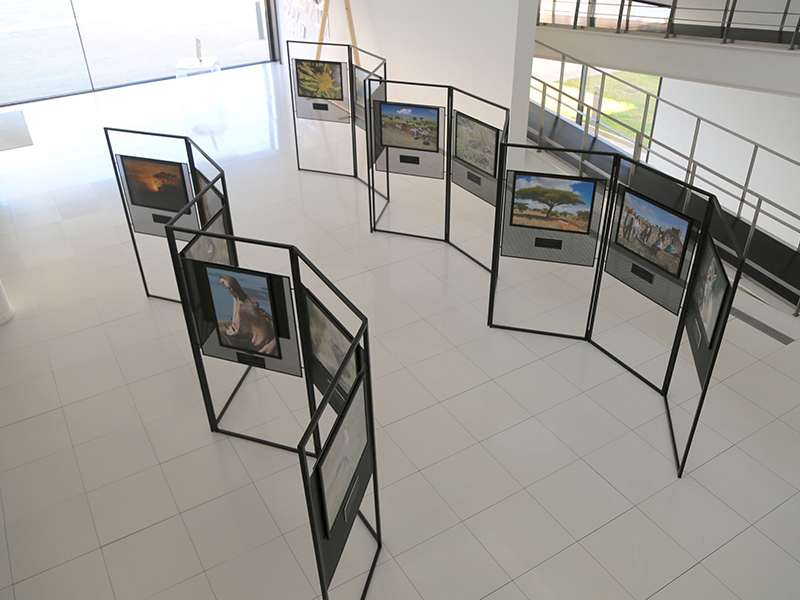 Exposição “B.I. Biosfera Integrada” em exibição na Câmara Municipal