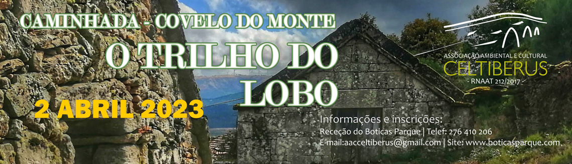 Caminhada 