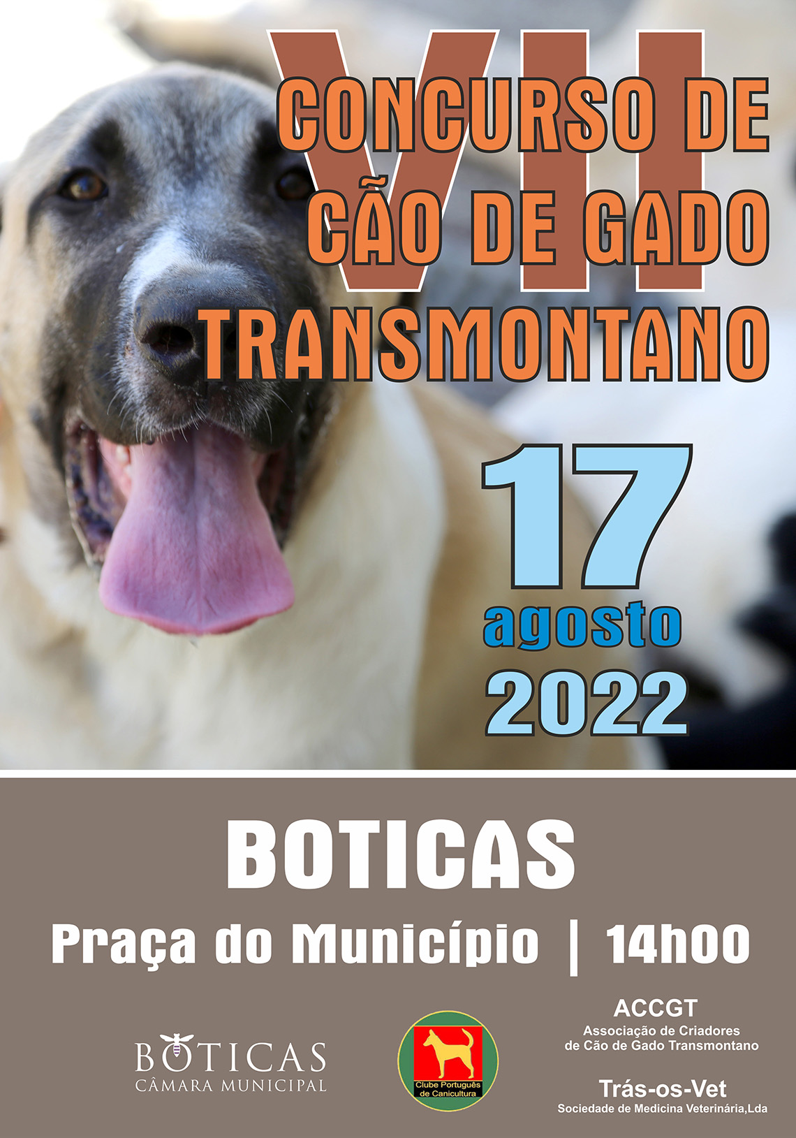 VII Concurso de Co de Gado Transmontano