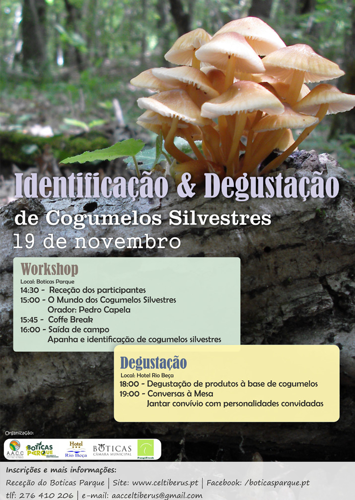 Identificao & Degustao de Cogumelos Silvestres