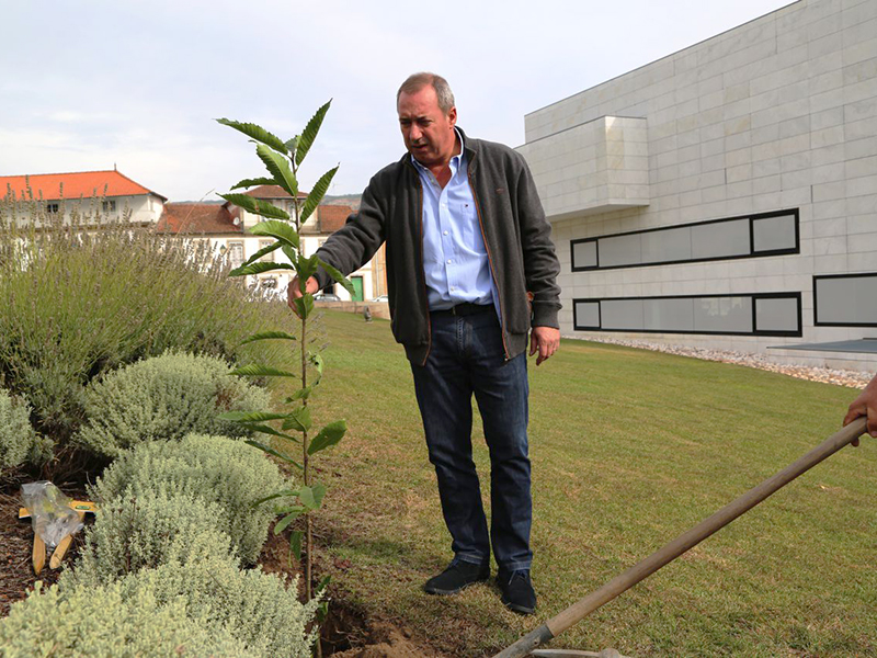 Boticas contemplada com campanha de reflorestao