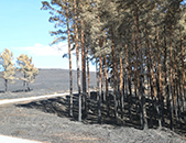 Câmara de Boticas procura atenuar prejuízos das populações causados pelos incêndios