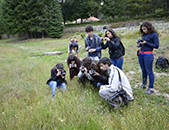 Curso de Iniciao  Fotografia de Natureza