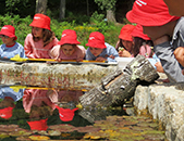 Dia da Biodiversidade assinalado em Boticas