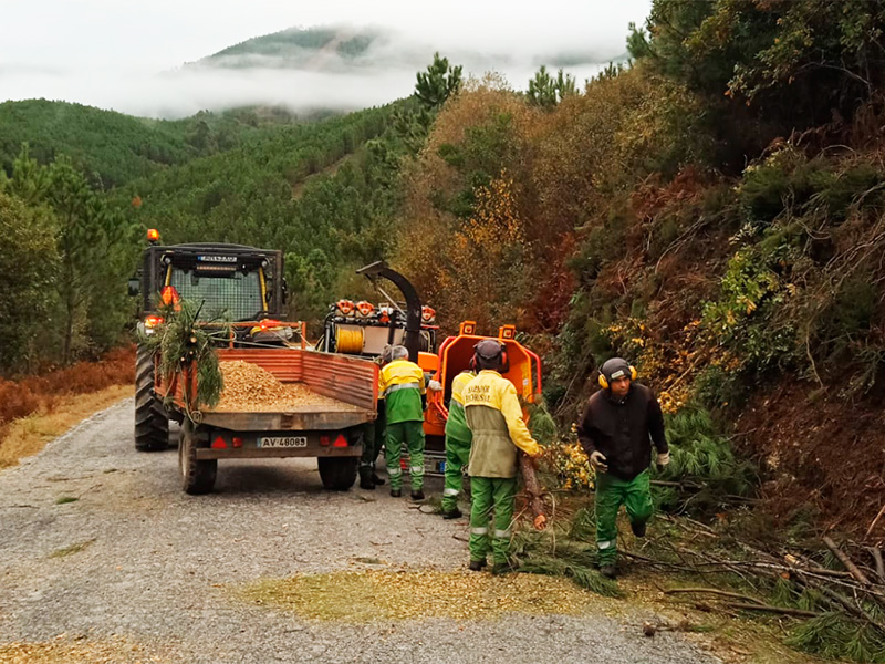 Alto Tmega e Barroso desenvolve projeto piloto para a valorizao da biomassa florestal e de sobrantes florestais