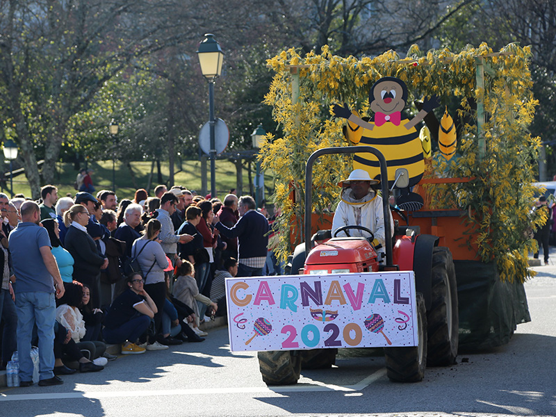 Desfile de Carnaval atraiu milhares de visitantes a Boticas 