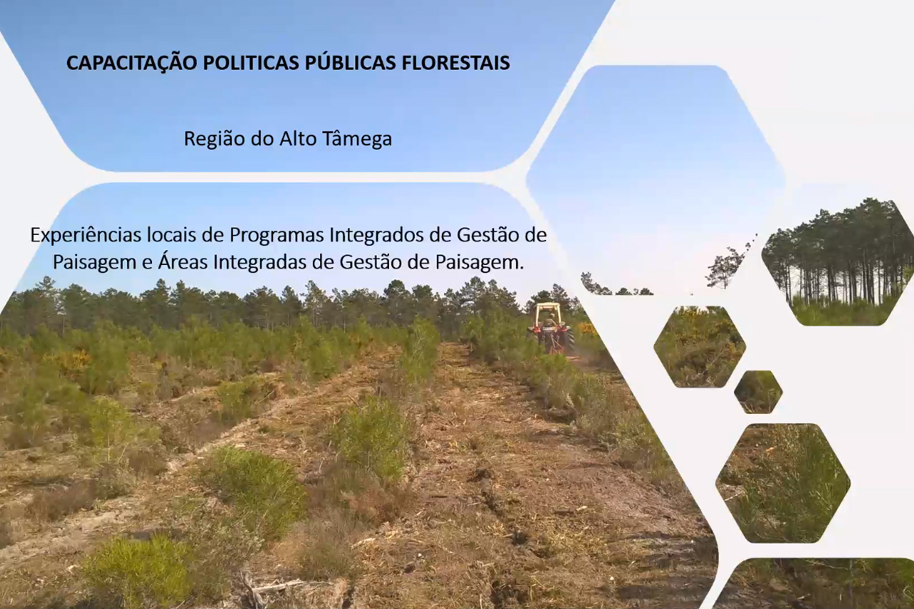 3 WEBINAR | Aes de Capacitao Polticas Pblicas Florestais