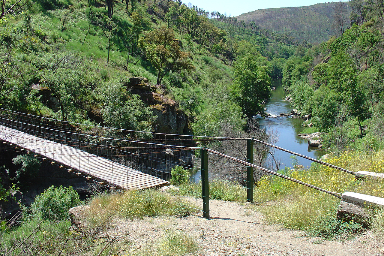 Iberdrola apresentou alternativas para reposio da ponte de arame Veral / Monteiros