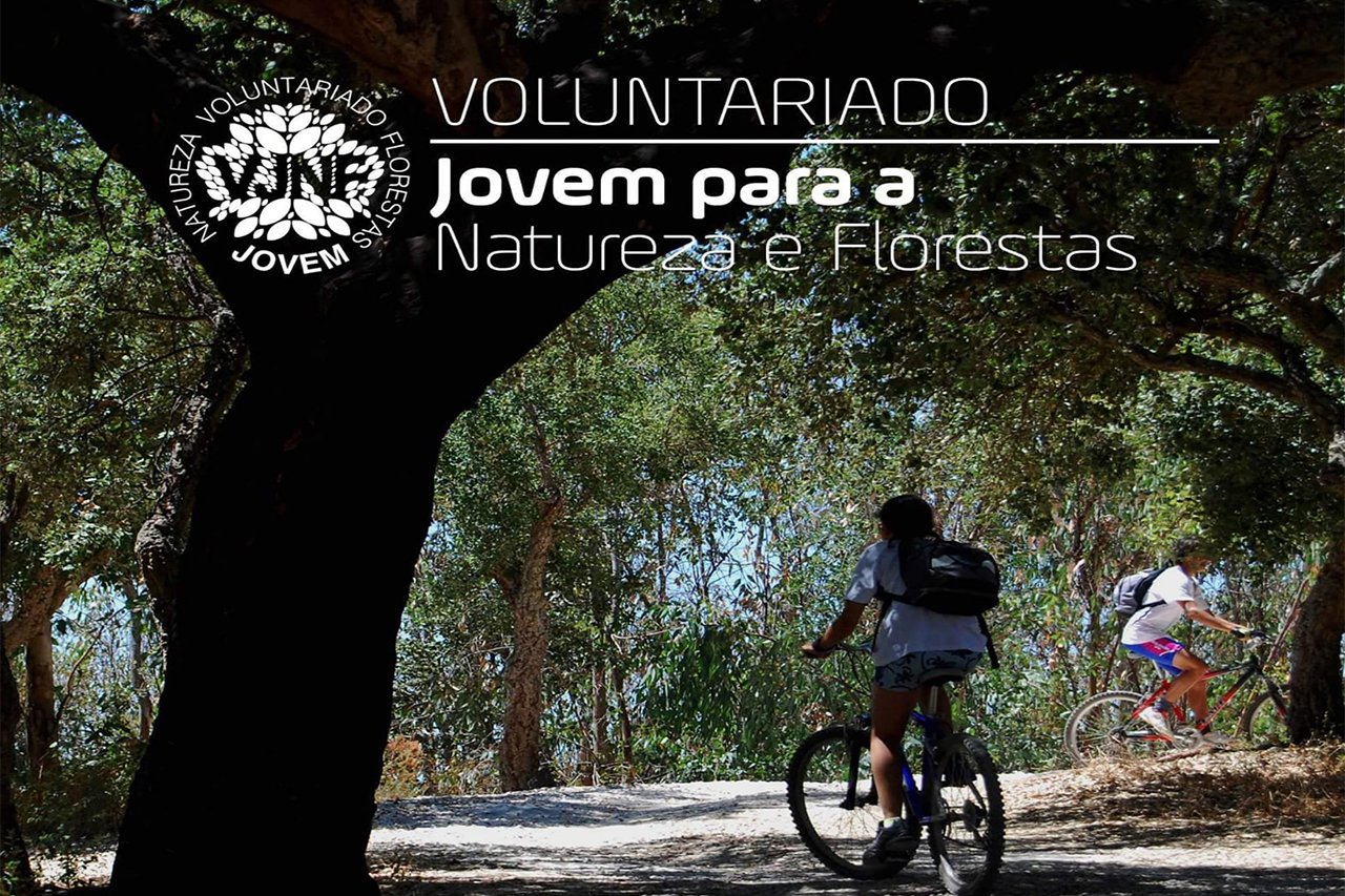 Voluntariado Jovem para a Natureza e Florestas