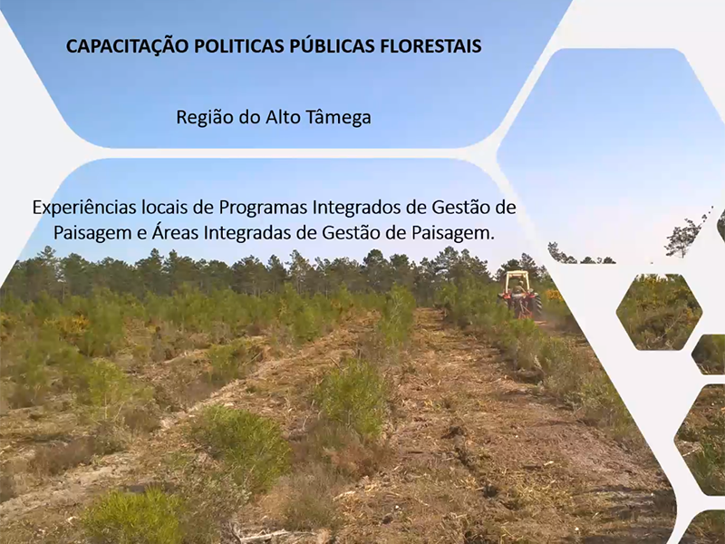 3 WEBINAR | Aes de Capacitao Polticas Pblicas Florestais