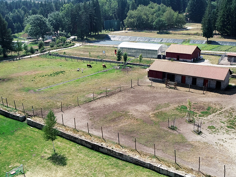 Boticas Parque alvo de investimento de cerca de 250 mil euros 