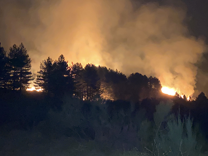 Autarquia preocupada com vaga de incêndios florestais no Concelho