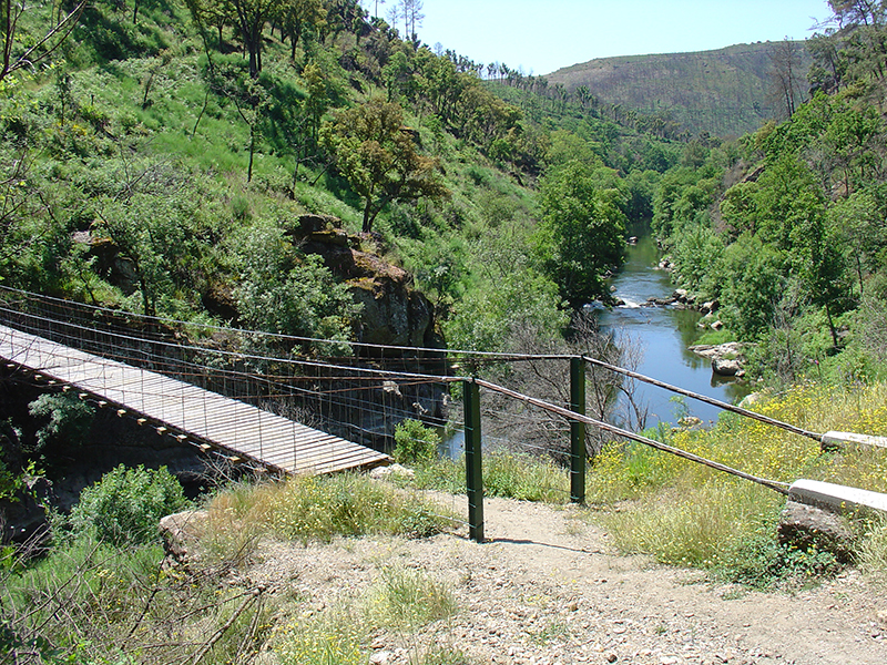 Iberdrola apresentou alternativas para reposio da ponte de arame Veral / Monteiros