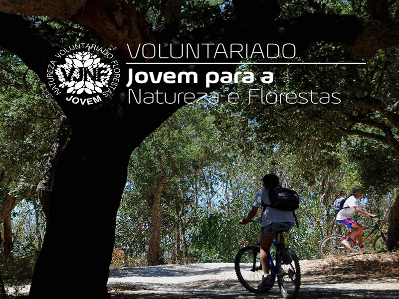 Voluntariado Jovem para a Natureza e Florestas