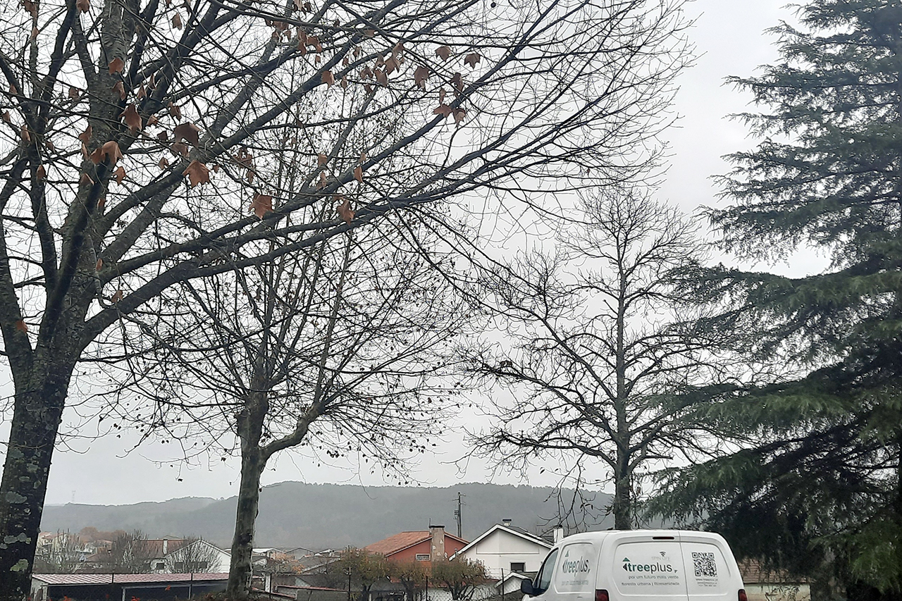 Municpio aposta na proteo e valorizao de espaos verdes urbanos