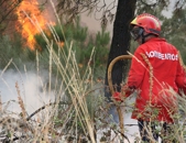 Concelho de Boticas fustigado pelos fogos florestais