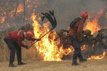 Prejuízos do último incêndio rondam um milhão de eurosConcelho de Boticas fustigado pelos fogos florestais