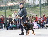 Demonstrao da Cavalaria e Brigada Cinotcnica da GNR na Escola de Boticas