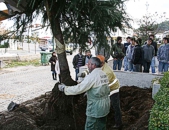 Município de Boticas participou activamente na Semana da Reflorestação Nacional