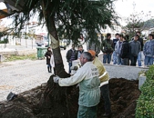 Municpio de Boticas participou activamente na Semana da Reflorestao Nacional