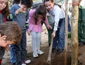 Dia Mundial da Floresta