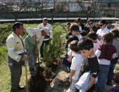 Comemoraes do Dia Mundial da Floresta