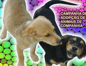 Campanha de Adopção de Animais de Companhia na Praça do Município