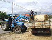 Cmara distribuiu palha e feno para alimentao dos animais nas aldeias afetadas pelos incndios