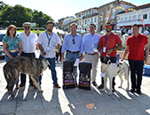 Concurso de Co de Gado Transmontano em Boticas