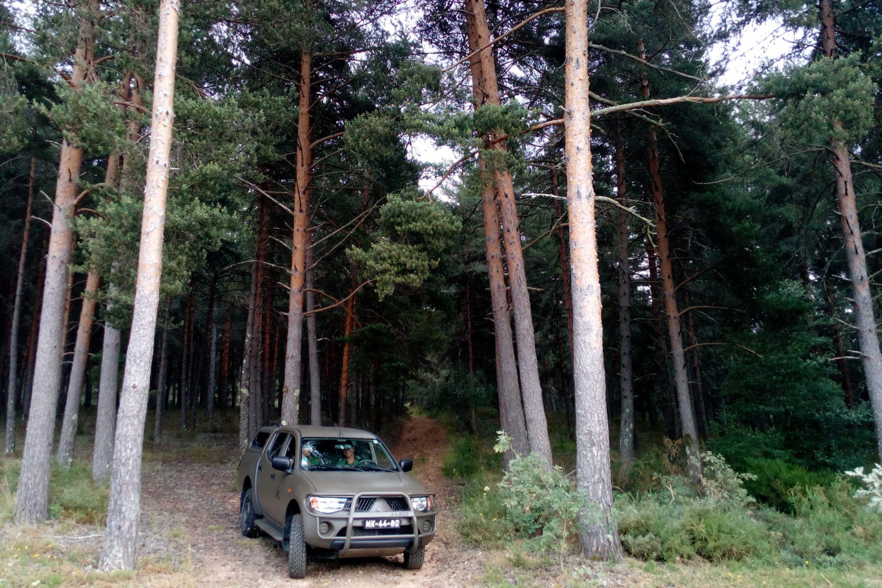 RI19 assegura vigilncia da floresta em Boticas