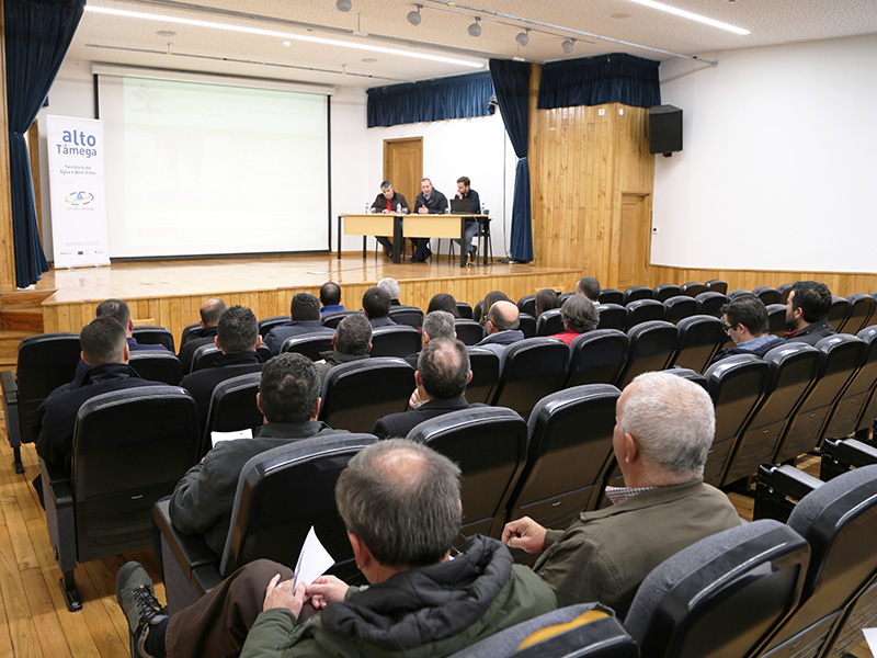 Boticas recebeu workshops sobre Resinagem e Certificao da Gesto Florestal