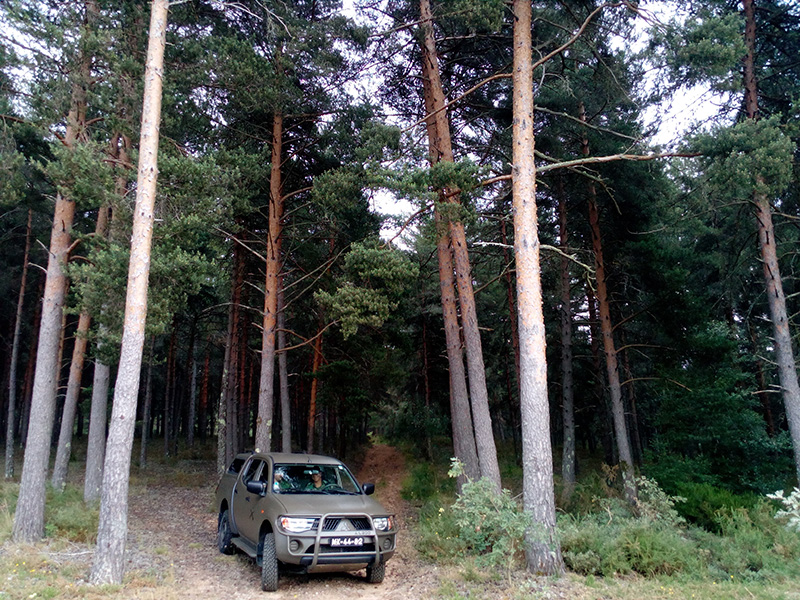 RI19 assegura vigilncia da floresta em Boticas