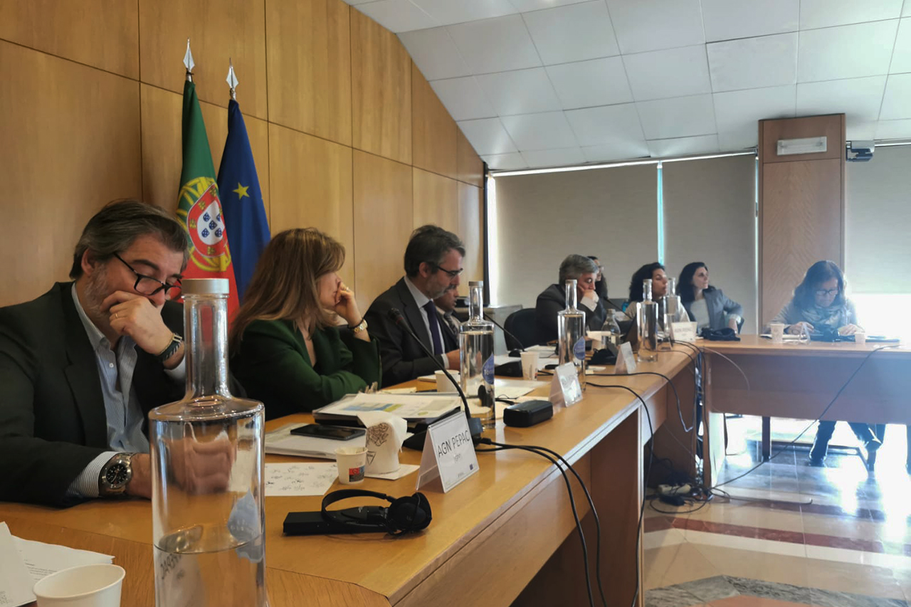 Presidente da Cmara participou em reunio do Comit de Acompanhamento Nacional do PEPAC