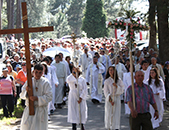 Peregrinao do ano da F ao Senhor do Monte