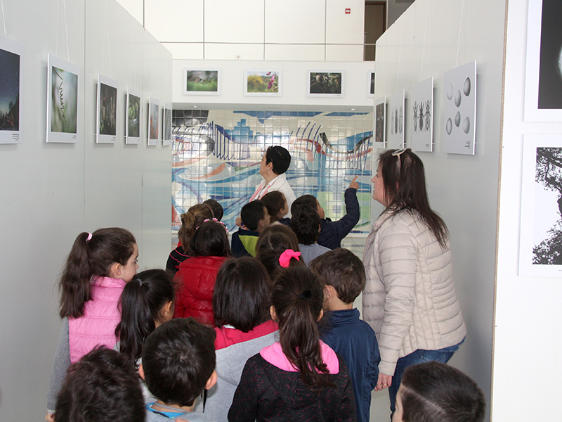 Exposio Itinerante do Festival Internacional de Imagem e Natureza em exibio na Cmara Municipal