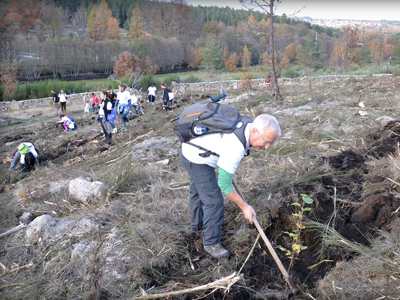 Duas centenas de pessoas participaram na iniciativa Caminhar e Plantar