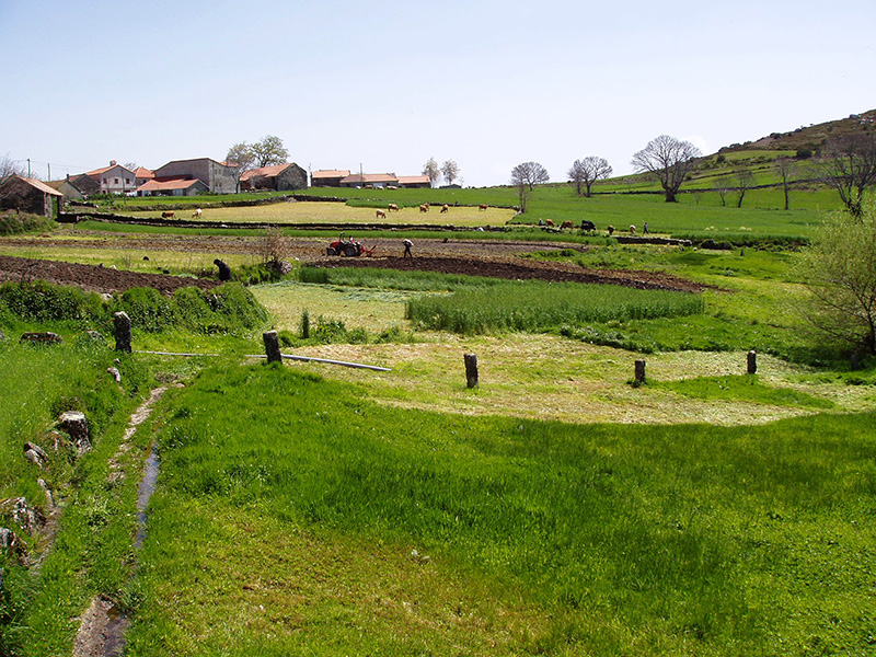 Um dos mais belos patrimnios agrcolas mundiais est no Barroso