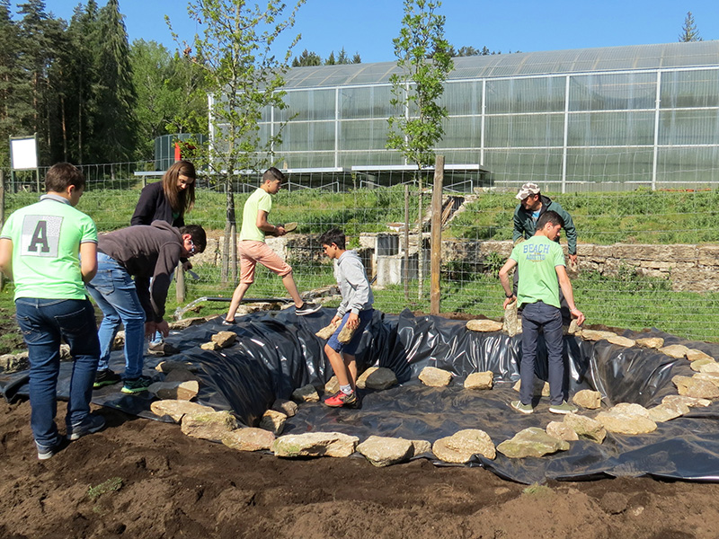 Jovens construram um Charco com Vida no Boticas Parque