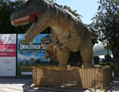 Crianças do 1º Ciclo visitaram exposição “O mundo dos dinossauros” no Porto