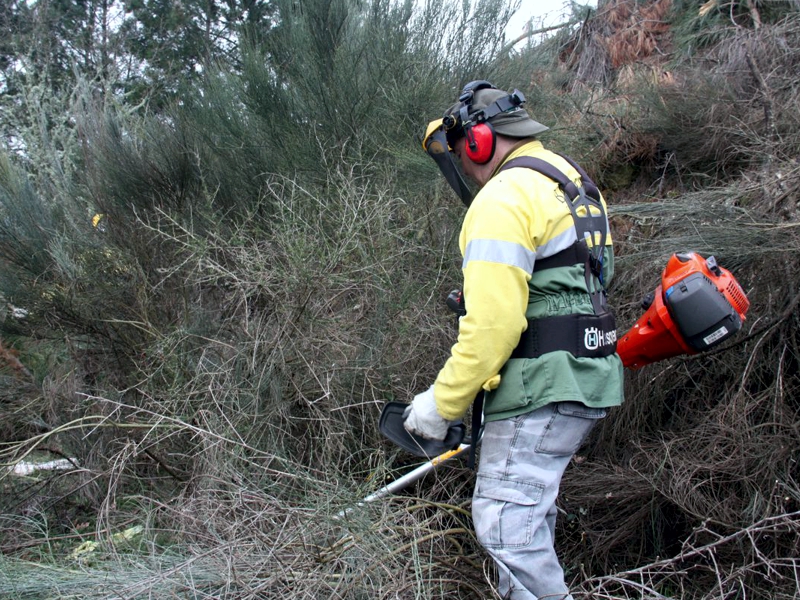 Cmara de Boticas intensifica aces de limpeza dos terrenos florestais