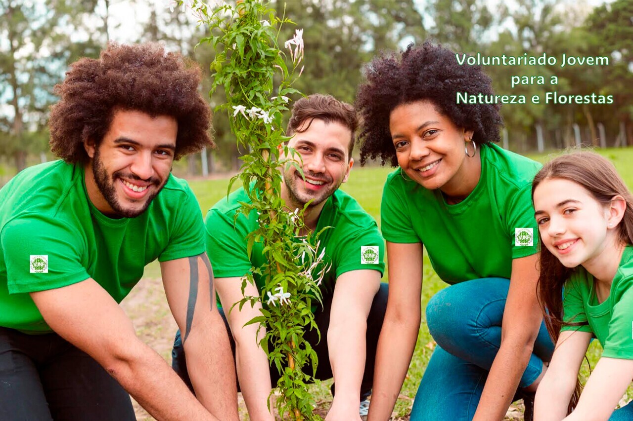 Voluntariado