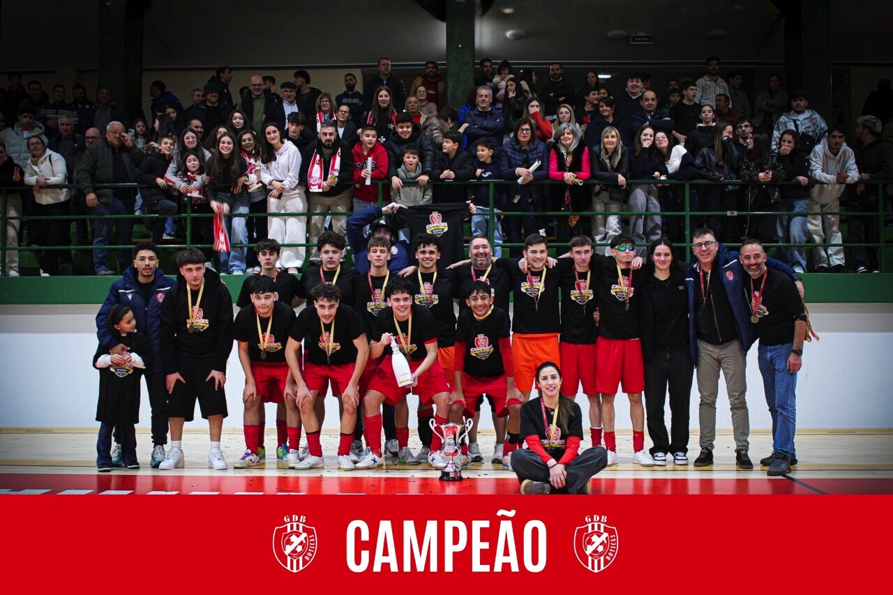 imagem_12